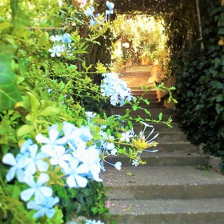 Delle Rose Bed & Breakfast Cefalù Dış mekan fotoğraf