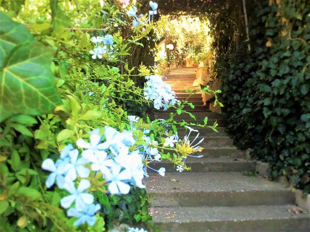 Delle Rose Bed & Breakfast Cefalù Dış mekan fotoğraf