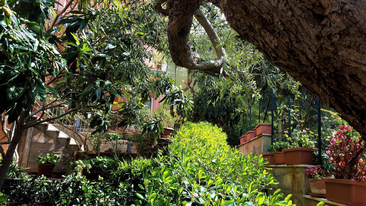 Delle Rose Bed & Breakfast Cefalù Dış mekan fotoğraf
