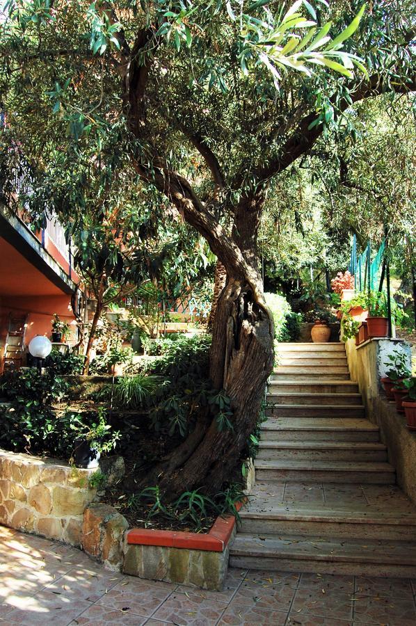 Delle Rose Bed & Breakfast Cefalù Dış mekan fotoğraf