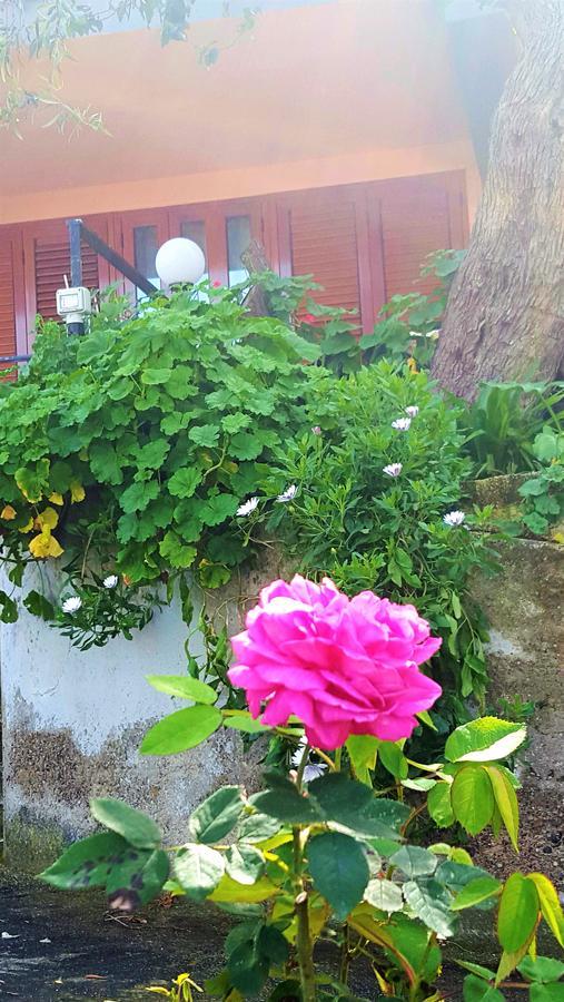 Delle Rose Bed & Breakfast Cefalù Dış mekan fotoğraf